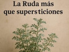 La Ruda: más que supersticiones… Mojiganguiando el sábado