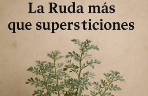 La Ruda: más que supersticiones… Mojiganguiando el sábado