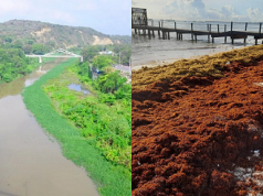 Desafíos ambientales:Río Yaque del Norte y sargazo costero