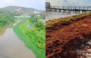Desafíos ambientales:Río Yaque del Norte y sargazo costero