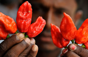 Comer picante protegería el corazón y el cerebro