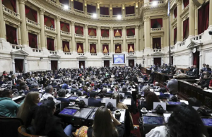 Diputados tumban el pulso a Milei