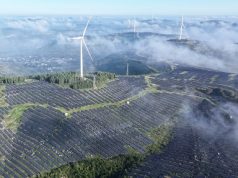 Unión Europea pierde otra batalla ante China