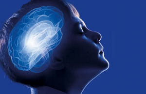 Desigualdad social provoca cambios en cerebro infantil