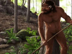 Hallan en China un cráneo que replantea la evolución humana