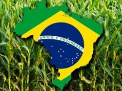 Brasil: Gran beneficiario de la guerra agroalimentaria