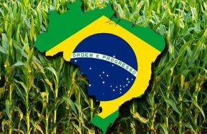 Brasil: Gran beneficiario de la guerra agroalimentaria