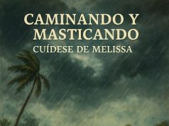 Cuídese de Melissa… Caminando y Masticando
