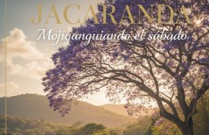 Jacaranda… Mojiganguiando el sábado