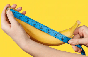 El tamaño del pene sí importa: nuevo estudio explica por qu