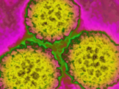 Cómo prevenir el cáncer: un nuevo estudio mapea los riesgos