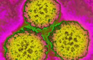 Cómo prevenir el cáncer: un nuevo estudio mapea los riesgos