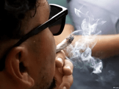 Peligro del cannabis para los adolescentes
