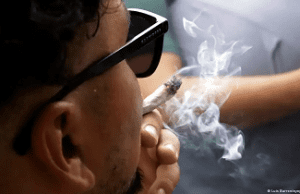 Peligro del cannabis para los adolescentes