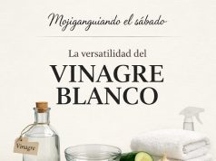 La versatilidad del vinagre blanco… Mojiganguiando el sábado