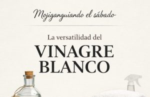 La versatilidad del vinagre blanco… Mojiganguiando el sábado