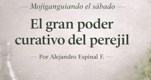 El gran poder curativo del perejil… Mojiganguiando el sábado