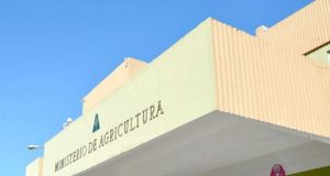 RaYosX: Ruidos en Agricultura y Bagrícola