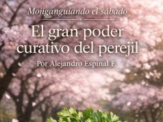 El gran poder curativo del perejil… Mojiganguiando el sábado