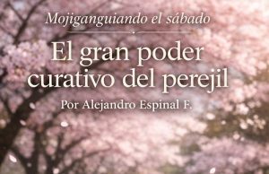 El gran poder curativo del perejil… Mojiganguiando el sábado