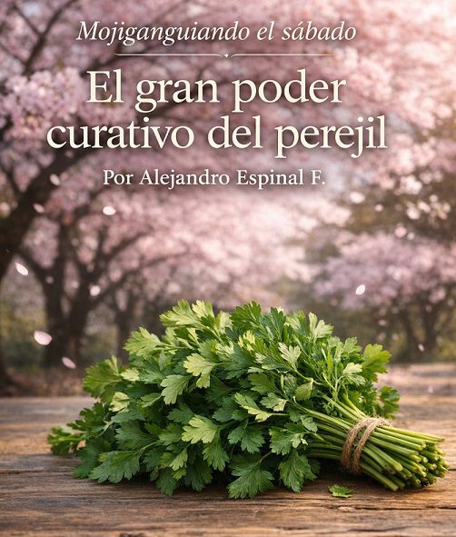 El gran poder curativo del perejil… Mojiganguiando el sábado