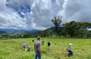 Somos Más realiza jornada arborización en defensa de la Septentrional