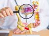 Combinación de dos nutrientes multiplican defensa del colon contra el cáncer