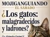 ¿Los gatos: malagradecidos y ladrones?