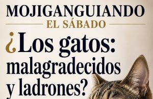 ¿Los gatos: malagradecidos y ladrones?