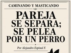 Pareja se separa, se pelea por un perro… Caminando y Masticando