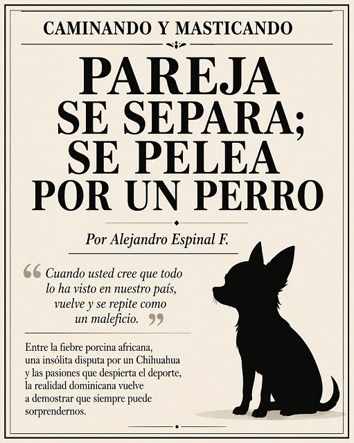 La pelea por un perro