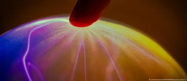78013436_1004