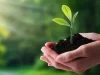 Quemas agrícolas requerirán permiso hasta el 31 de agosto