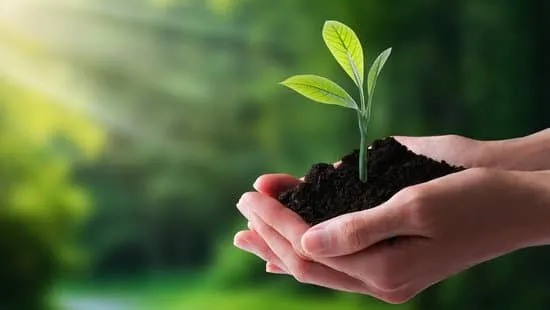 Medioambiente